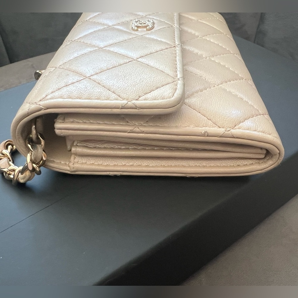 reserved-Chanel Iridescent Pearl WOC Bag - Picture 12 of 17